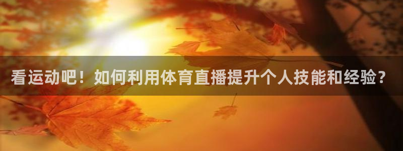 河豚的直播网
