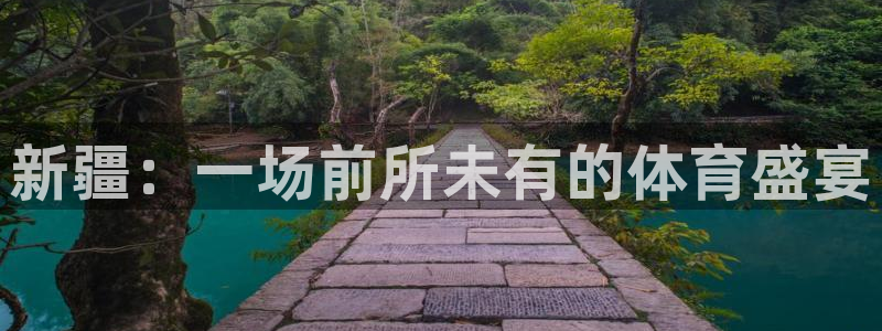 河豚nba篮球直播在线观看