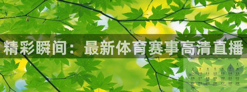 河豚体育篮球直播：精彩瞬间：最新体育赛事高清直播