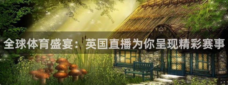 河豚nba直播：全球体育盛宴：英国直播为你呈现精彩赛事