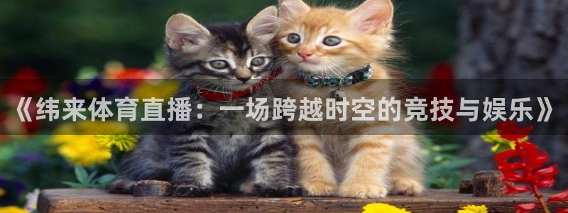 nba河豚体育直播：《纬来体育直播：一场跨越时空的竞技与娱乐》
