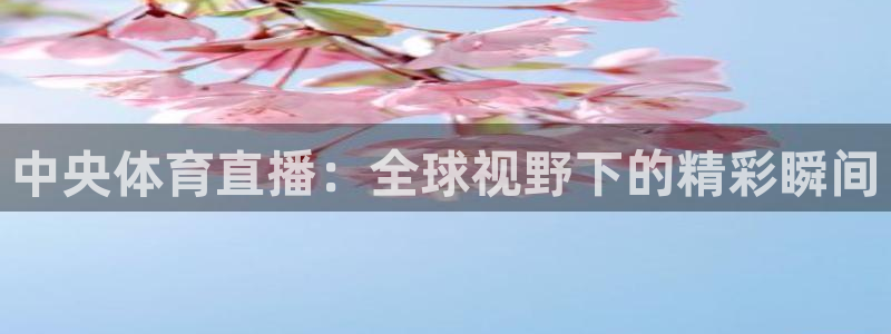 河豚在线nba直播：中央体育直播：全球视野下的精彩瞬间