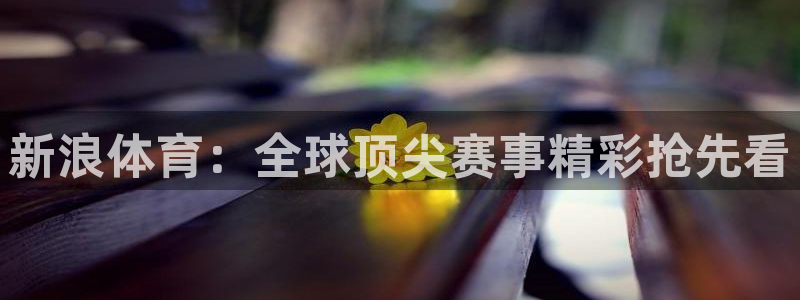 河豚在线：新浪体育：全球顶尖赛事精彩抢先看