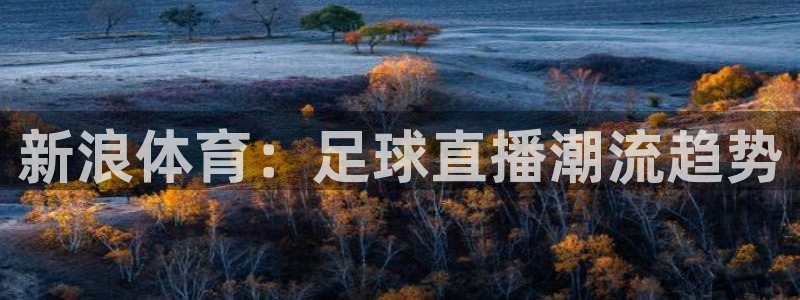 河豚体育nba直播在线观看：新浪体育：足球直播潮流趋势