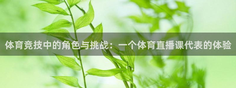 河豚足球体育直播：体育竞技中的角色与挑战：一个体育直播课代表的体验
