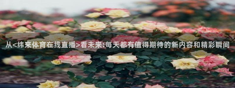 河豚的