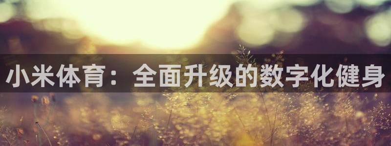 河豚看球：小米体育：全面升级的数字化健身